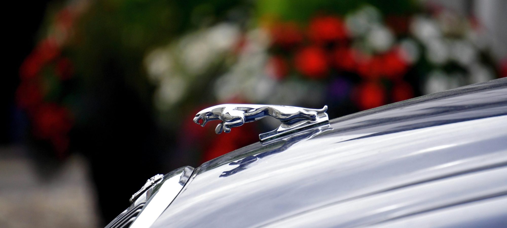 Detailed shot of a Jaguar hood ornament by Mike Bird